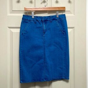 Pencil Jean Skirt